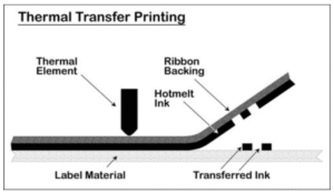 thermal dan thermal transfer