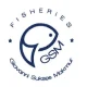 kassen logo 13